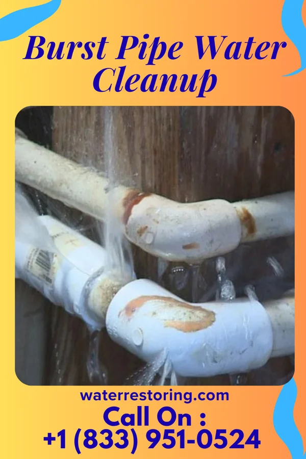 Burst Pipe Water Cleanup in Harvey, IL