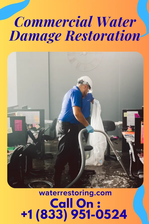 Commercial Water Damage Restoration in Harvey, IL
