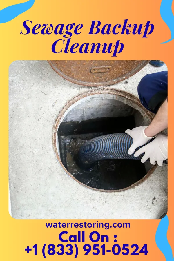 Sewage Backup Cleanup in Harvey, IL